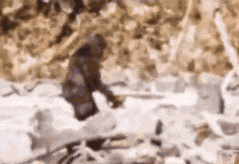 bigfoot
